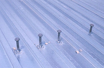 f16b662fda2c4af4ce475a23b212873b